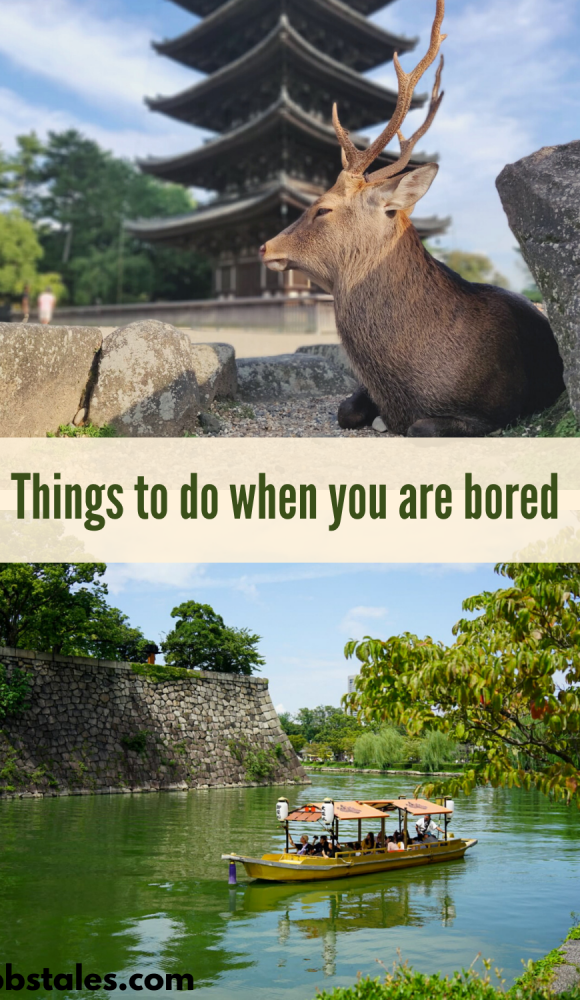 Things to do when you are bored (3)